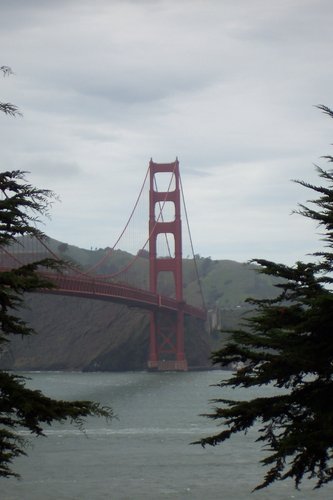 San Francisco Golden Gate Bridge (palo-alto_100_8000.jpg) wird geladen. Eindrucksvolle Fotos von der Westküste Amerikas erwarten Sie.